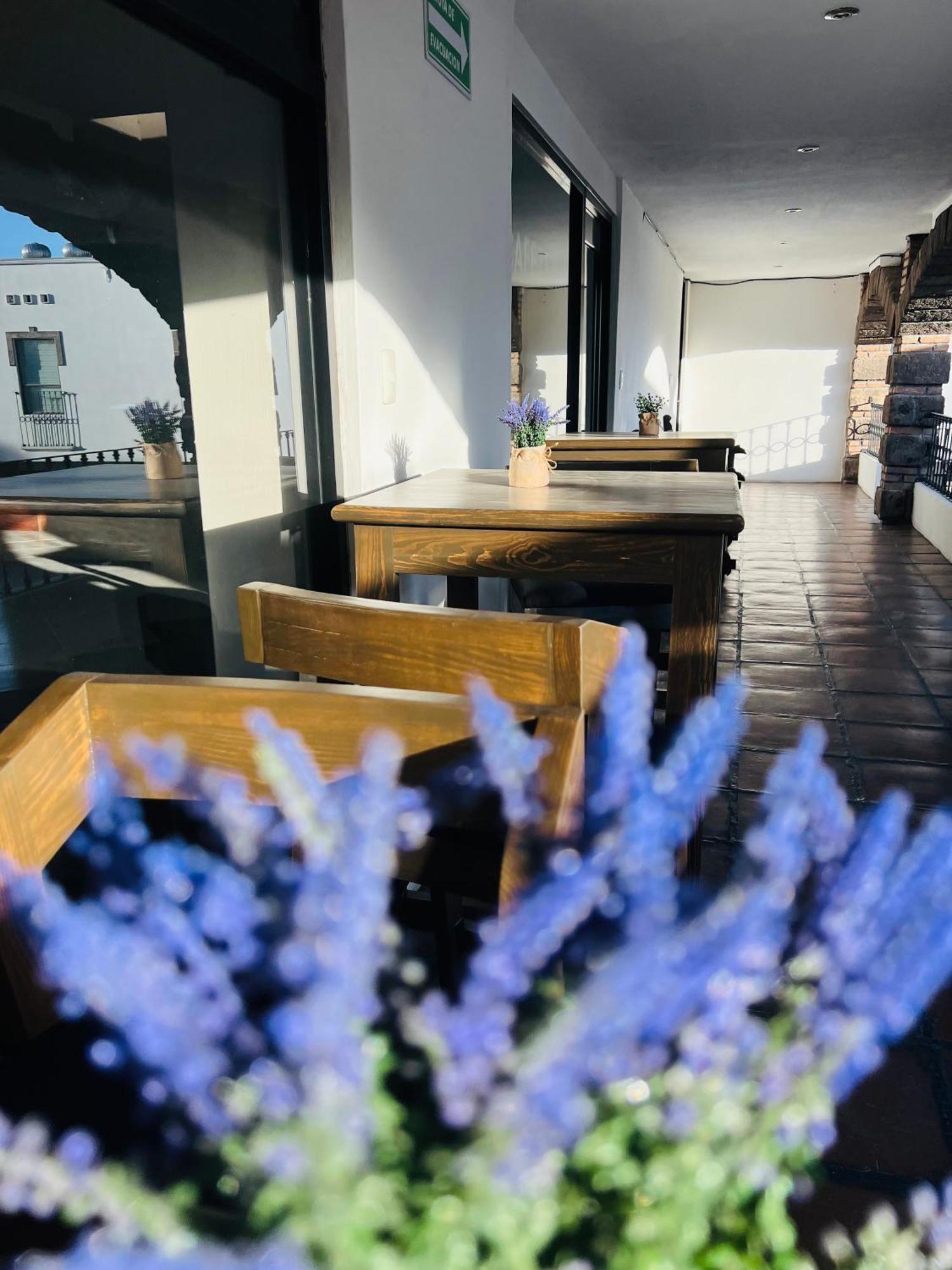 Qa Hotel San Luis Potosí Eksteriør bilde